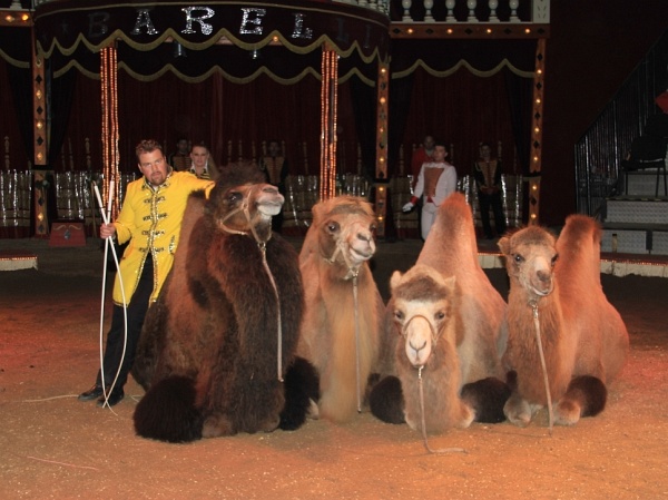 Circus Barelli   086.jpg